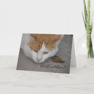 Tarjeta Gato, O Hermano, Cumpleaños Bellamente