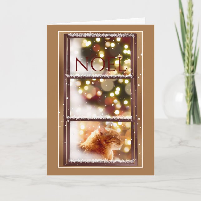 Tarjeta Gato pacífico dentro de una nevada carta de Navida (Anverso)