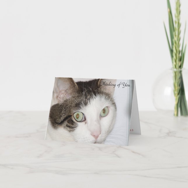 Tarjeta Gato - Pensando en ti (Anverso)