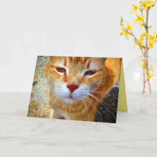 Tarjeta Gato Pequeño y Amistoso Pelirrojo Adorable