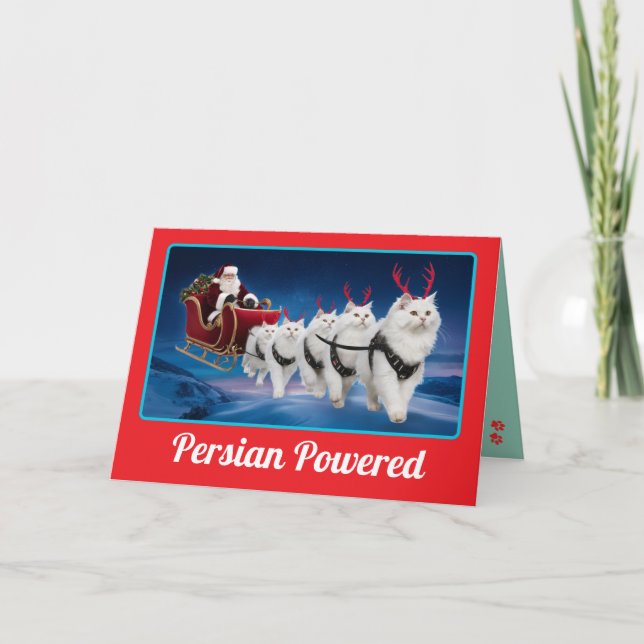 Tarjeta Gato Persa Blanco Divertido Navidad Fiesta (Anverso)
