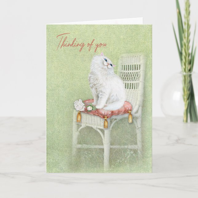 Tarjeta Gato persa blanco en la almohada de la silla (Anverso)