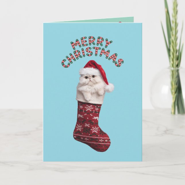 Tarjeta Gato Persa Blanco Lindo Navidad (Anverso)