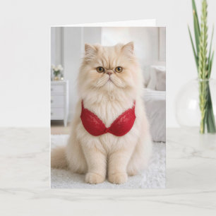 Tarjeta Gato Persa Cumpleaños con Sostén Rojo