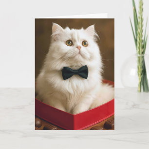 Tarjeta Gato Persa de San Valentín en caja de dulces