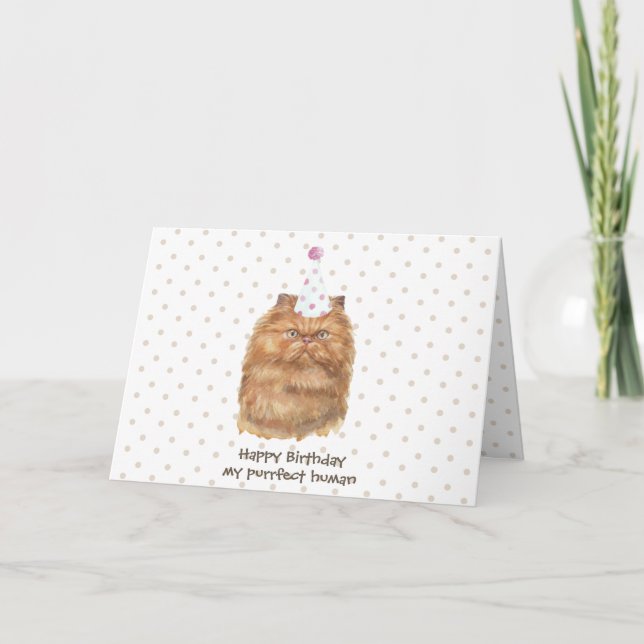 Tarjeta Gato Persa Divertido con Sombrero de Fiesta (Anverso)