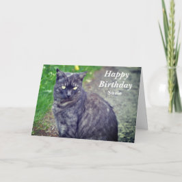 Tarjeta Gato posando en posición sentada Feliz cumpleaños