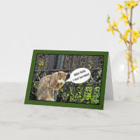 "Gato que llora tristemente/cumpleaños tardío