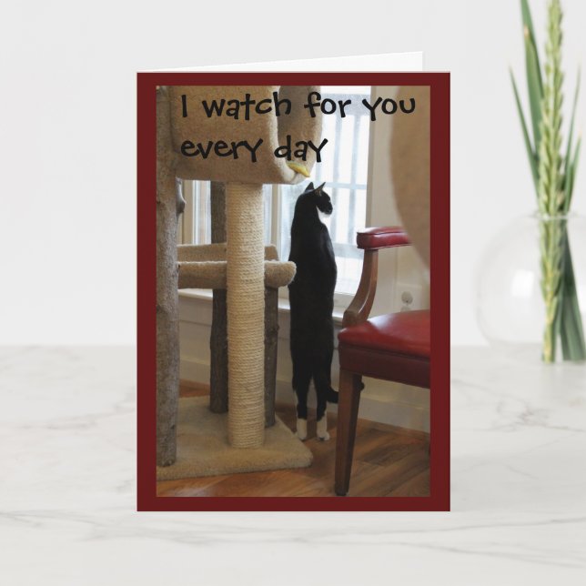 Tarjeta Gato que mira hacia fuera la ventana (Anverso)
