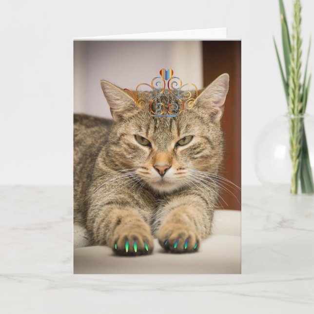 Tarjeta Gato que parece bueno para el animal divertido del (Anverso)