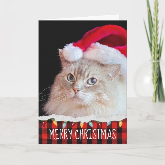 Tarjeta Gato Ragdoll con Santa Hat (Anverso)