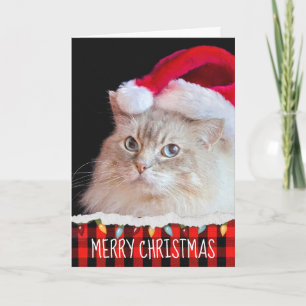 Tarjeta Gato Ragdoll con Santa Hat
