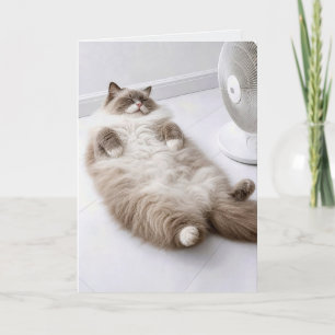 Tarjeta Gato Ragdoll de cumpleaños refrescándose con un ve