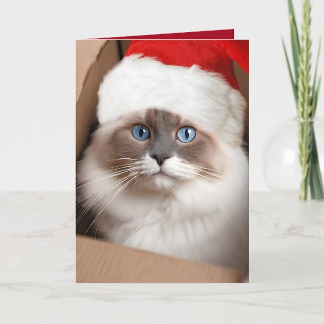 Tarjeta Gato Ragdoll de Navidad en caja de cartón (Anverso)