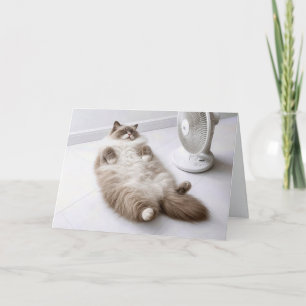 Tarjeta Gato Ragdoll Jubilado Enfriándose con un Ventilado