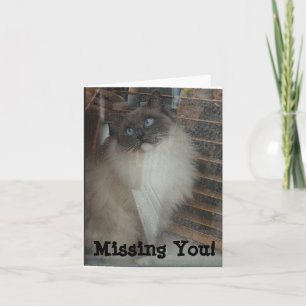 Tarjeta Gato Ragdoll - ¡Te extrañas!