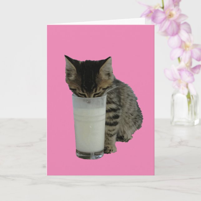 Tarjeta Gato robando leche de un vaso (Orquídea)