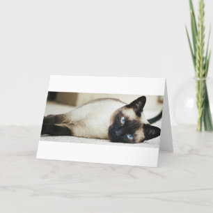 Tarjeta Gato siamés