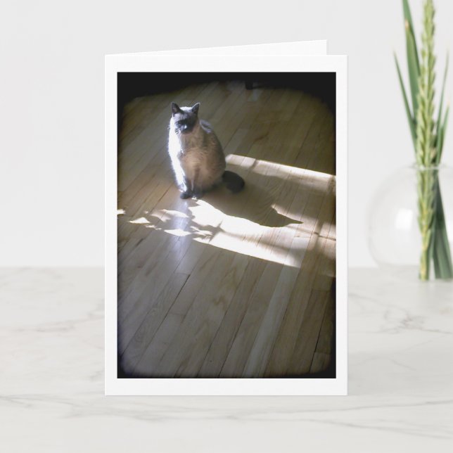 Tarjeta Gato siamés de punta lila al sol (Anverso)