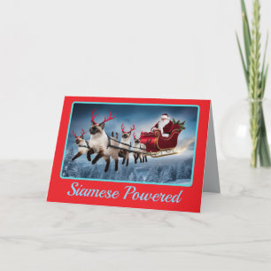 Tarjeta Gato siamés divertido navidad vacaciones
