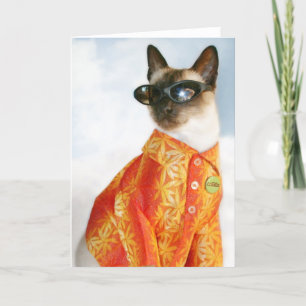 Tarjeta Gato siamés en sombras