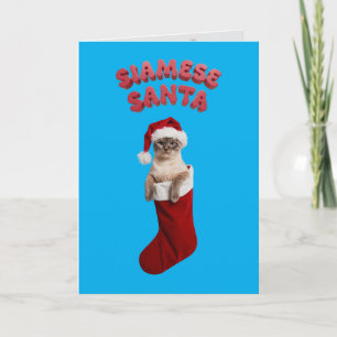 Tarjeta Gato siamés lindo Navidad vacaciones