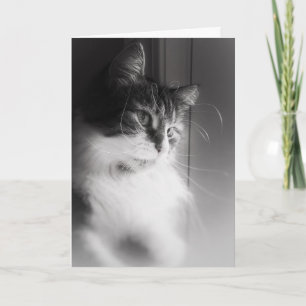 Tarjeta Gato siberiano pensando en tu carta