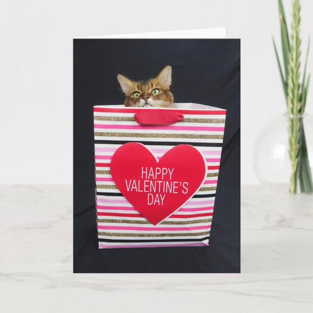 Tarjeta Gato somalí en una bolsa feliz de San Valentín (Anverso)