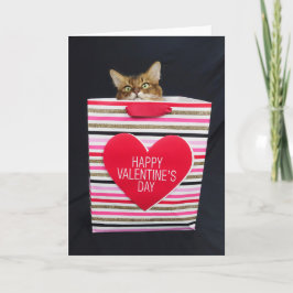 Tarjeta Gato Somalí en una Bolsa Feliz Día de San Valentín