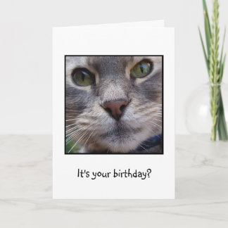 Tarjeta ¿Gato sorprendido, es su cumpleaños?