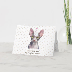 Tarjeta Gato Sphynx con Sombrero de Fiesta