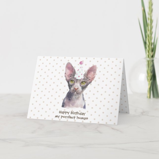 Tarjeta Gato Sphynx con Sombrero de Fiesta (Anverso)