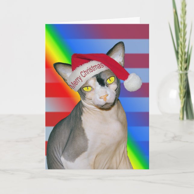 Tarjeta Gato Sphynx Ninja Santa Navidad Arcoíris (Anverso)