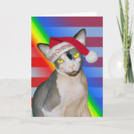 Tarjeta Gato Sphynx Ninja Santa Navidad Arcoíris