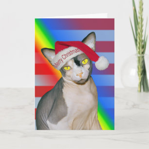 Tarjeta Gato Sphynx Ninja Santa Navidad Arcoíris