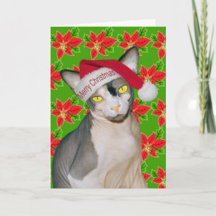 Tarjeta Gato Sphynx Ninja Santa Navidad Holi Verde