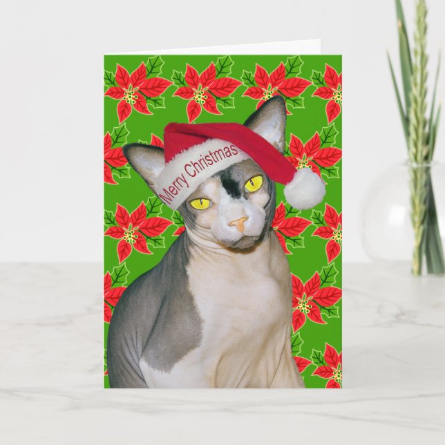 Tarjeta Gato Sphynx Ninja Santa Navidades Holi Green (Anverso)