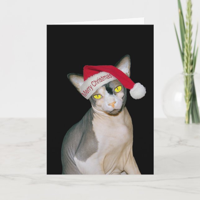Tarjeta Gato Sphynx Santa Negro Navidad (Anverso)