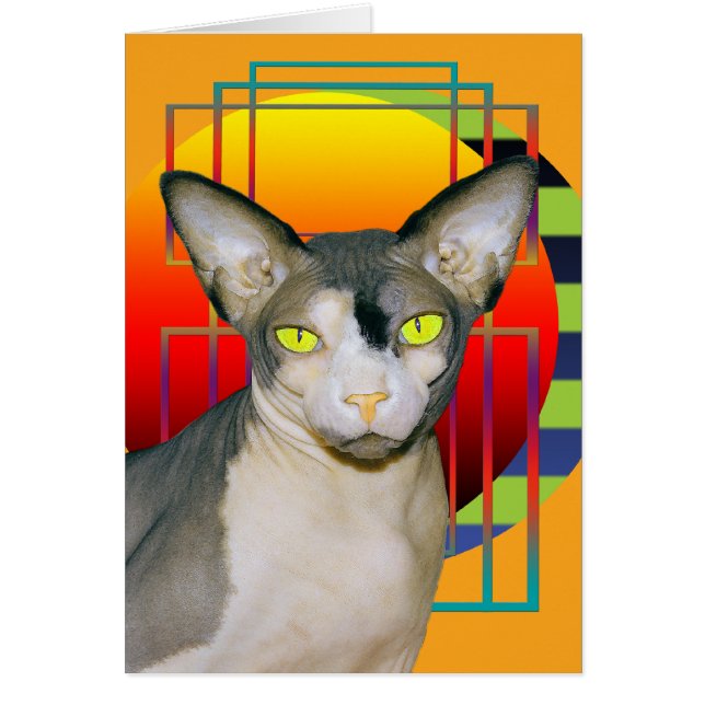 Tarjeta | Gato Sphynx Vampiro (Naranja) (Frente)