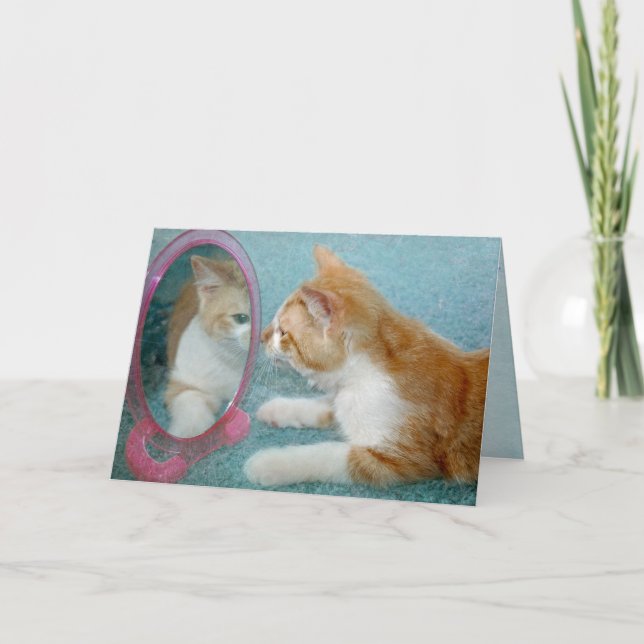 Tarjeta Gato Tabby de Cumpleaños Con Humor Antiguo (Anverso)