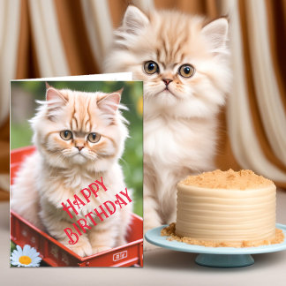 Tarjeta Gato Tabby de Jengibre y Crema en Carrito Rojo Cum