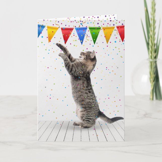 Tarjeta Gato Tabby Gris Cumpleaños en Confeti (Anverso)