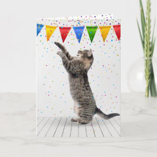 Tarjeta Gato Tabby Gris Cumpleaños en Confeti