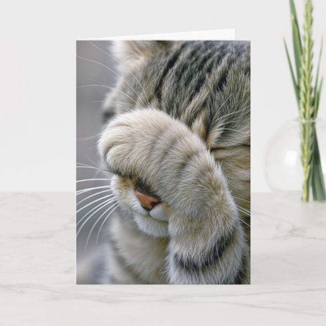 Tarjeta Gato Tabby Gris Cumpleaños Envejeciendo Humor (Anverso)