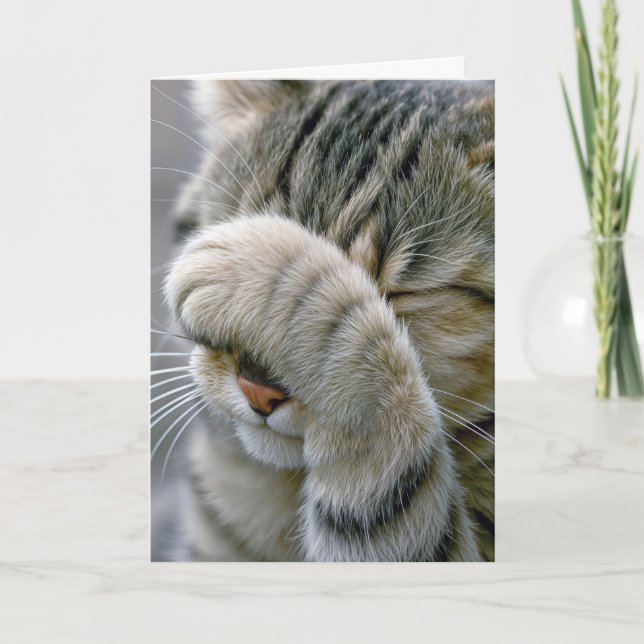 Tarjeta Gato Tabby Gris Cumpleaños Tardío (Anverso)