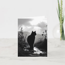 Tarjeta Gato tras lluvia gracias