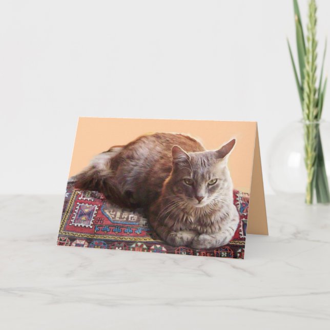 TARJETA GATO TURCO EN LA VIEJA CARPETA (Anverso)