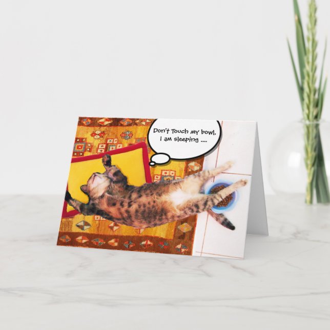 TARJETA GATO TURCO EN LA VIEJA CARPETA (Anverso)