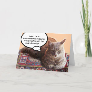 TARJETA GATO TURCO EN MEDITACIÓN TRANSCENDENTAL