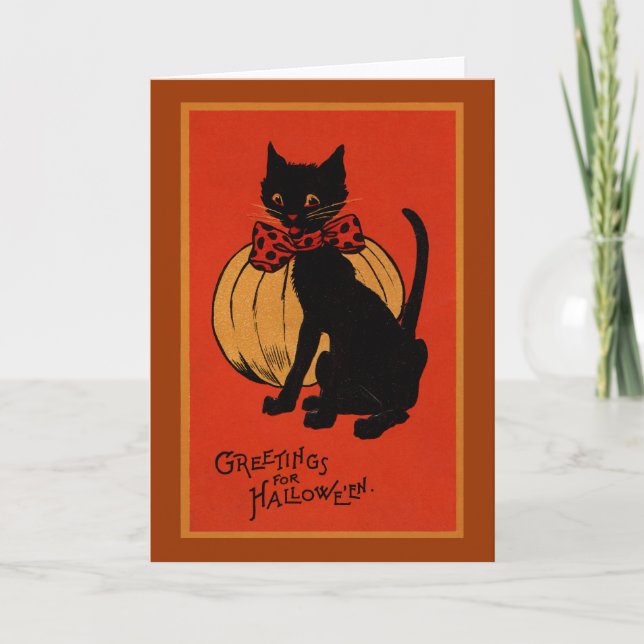 Tarjeta Gato y calabaza de Halloween (Anverso)